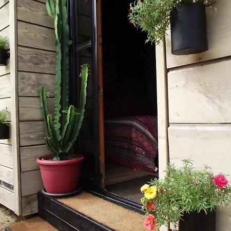 Bed and Breakfast Les Belles Epoques - Proche Puy Du Fou Montfaucon (Gard)