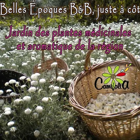 Les Belles Epoques - Proche Puy Du Fou Bed and Breakfast 3*