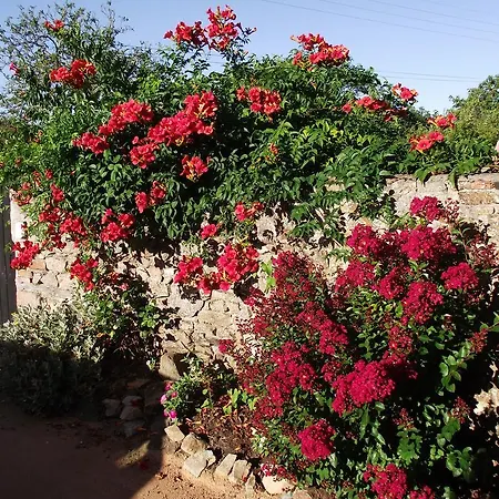 Les Belles Epoques - Proche Puy Du Fou Bed and Breakfast Montfaucon (Gard)